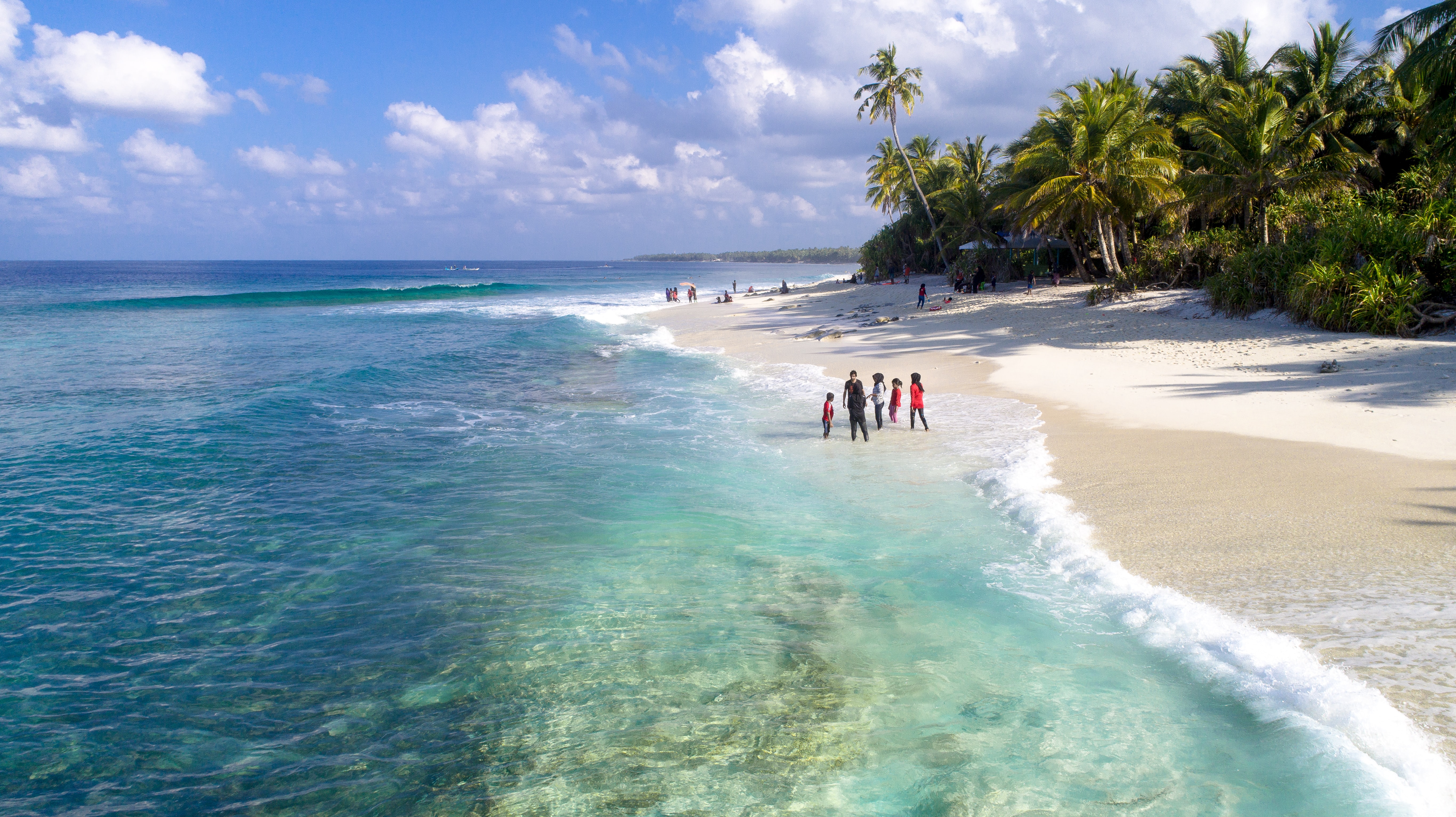 People standing on sandy beach with palm trees