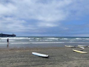 Surfboards near water edge on beach
