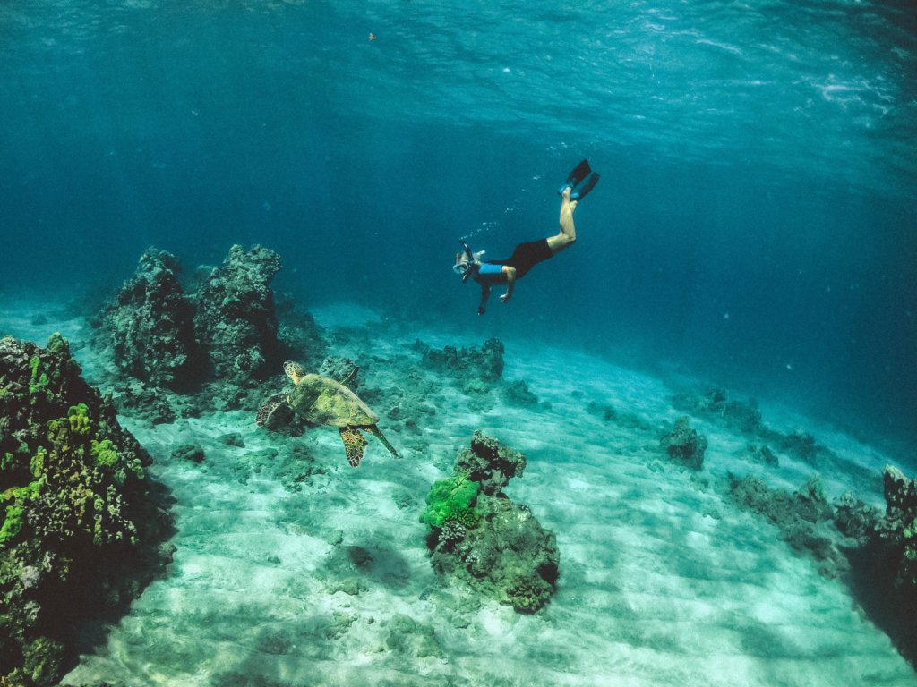 Girl snorkeling in water