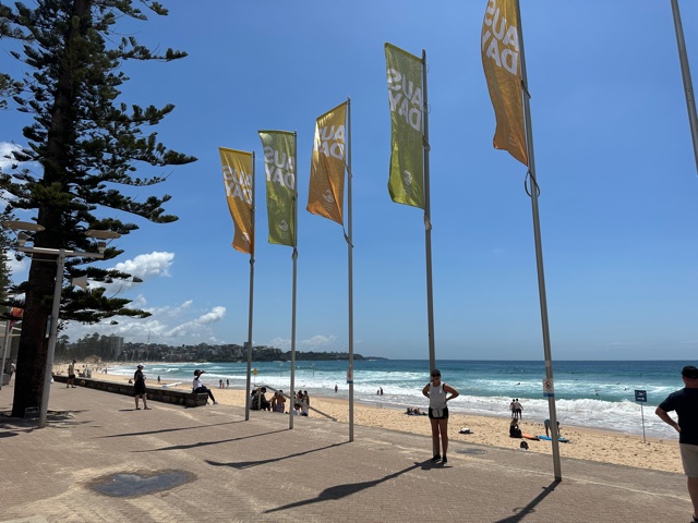 Flags in front of beach