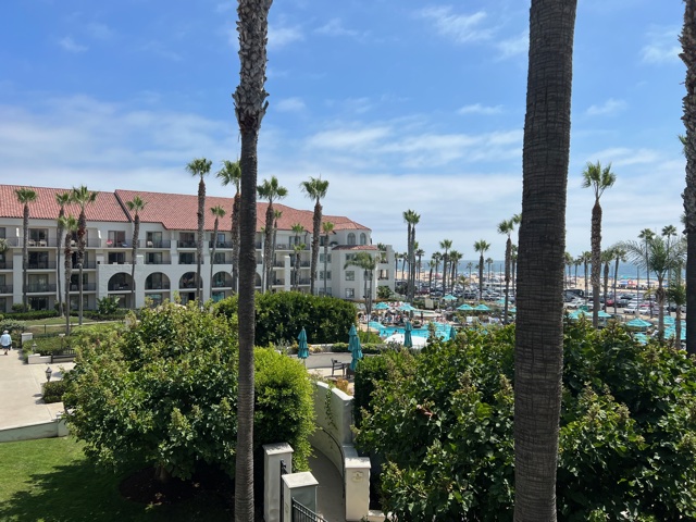 White hotel near palm trees 