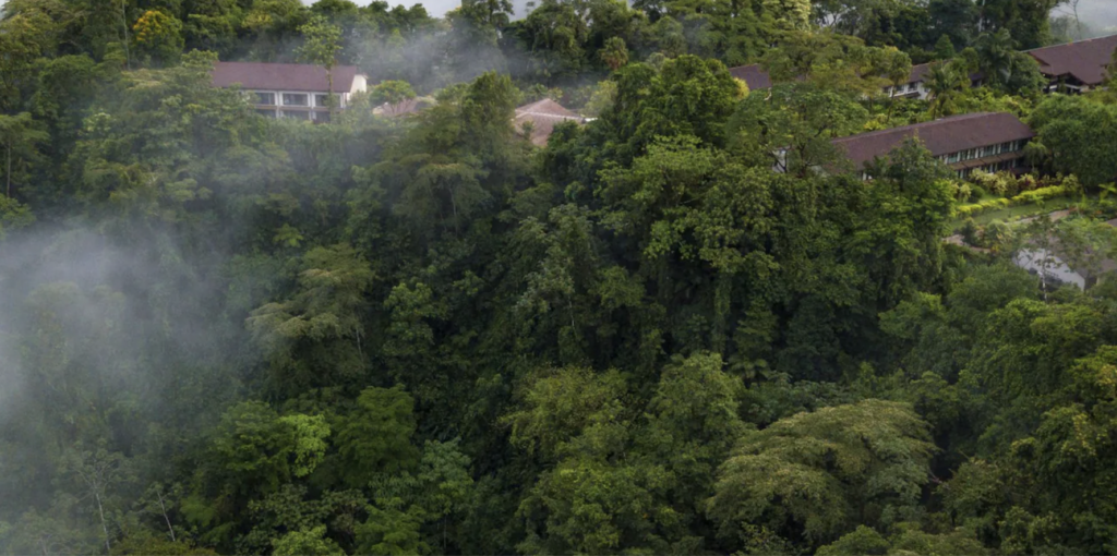 Resort in rainforest