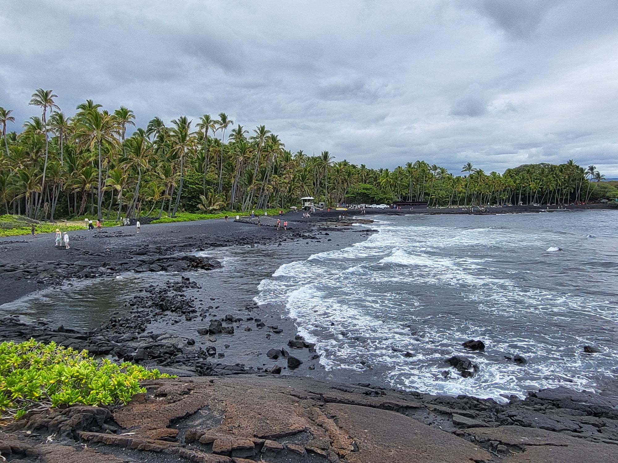 Beach with black lava and palm trees