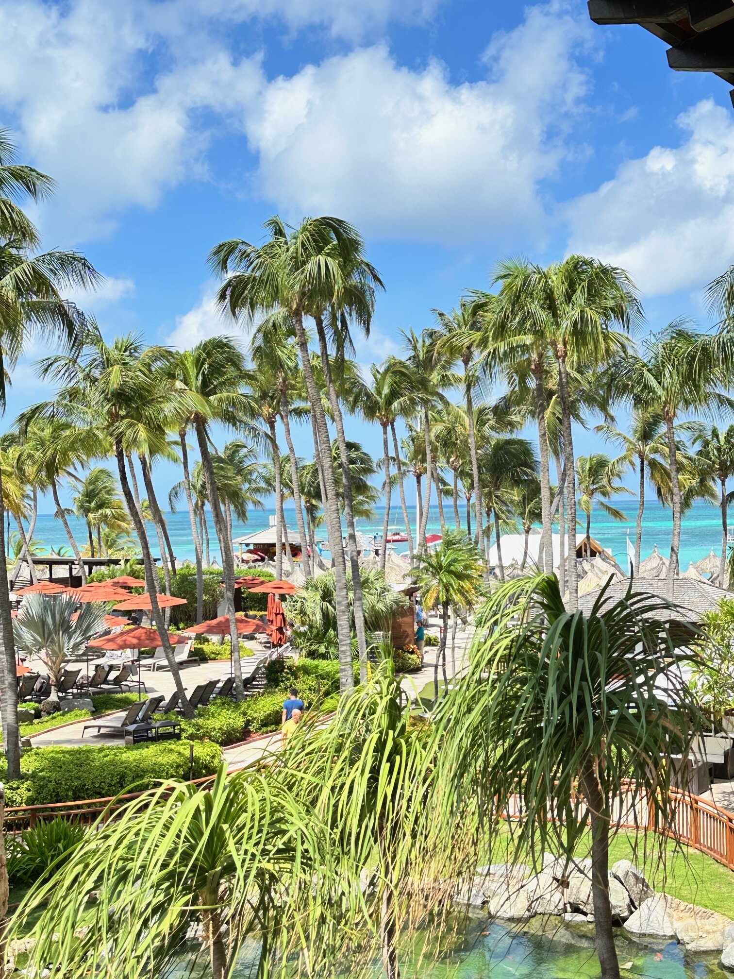 Palm trees and blue water