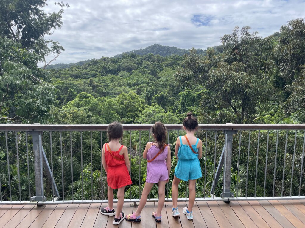 Daintree Rainforest, Australia - Family trip to Hawaii and Australia