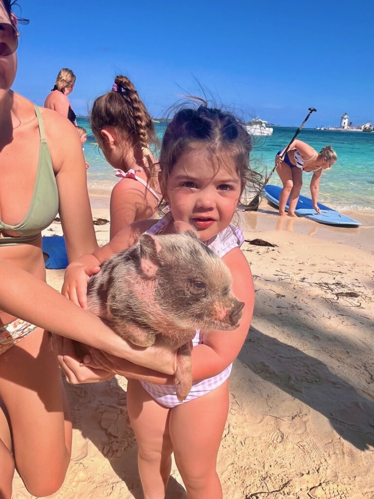 Young girl on beach holding a pig.