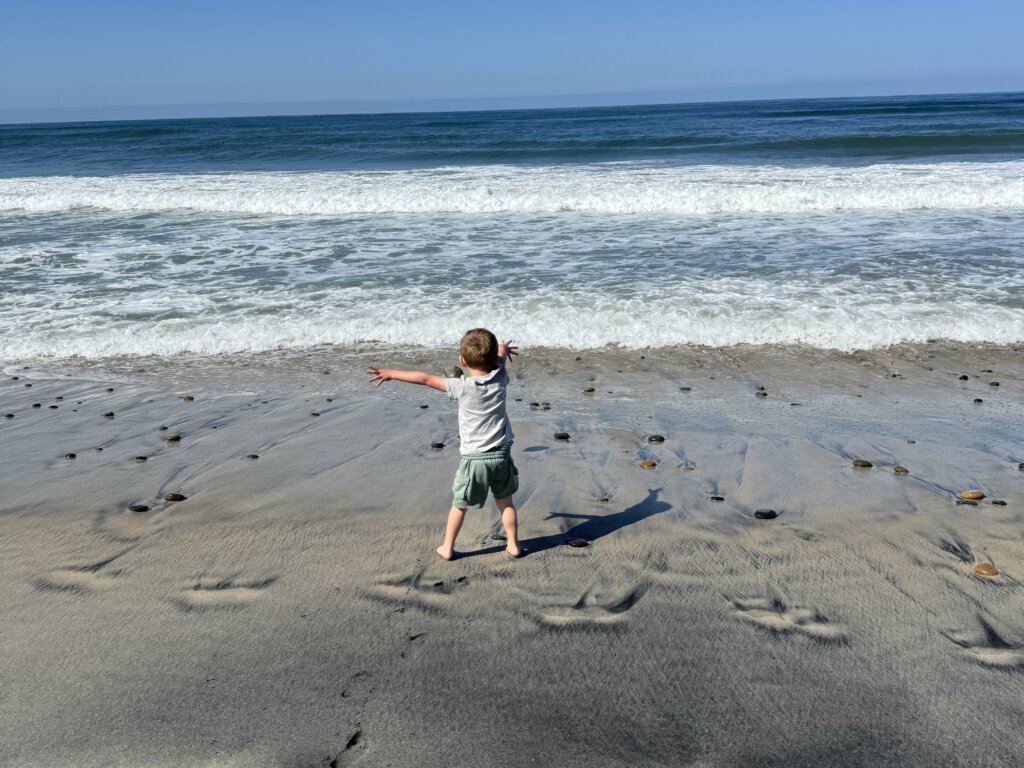 Little boy throwing rocks in the ocean