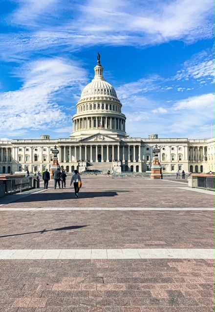 Large White building