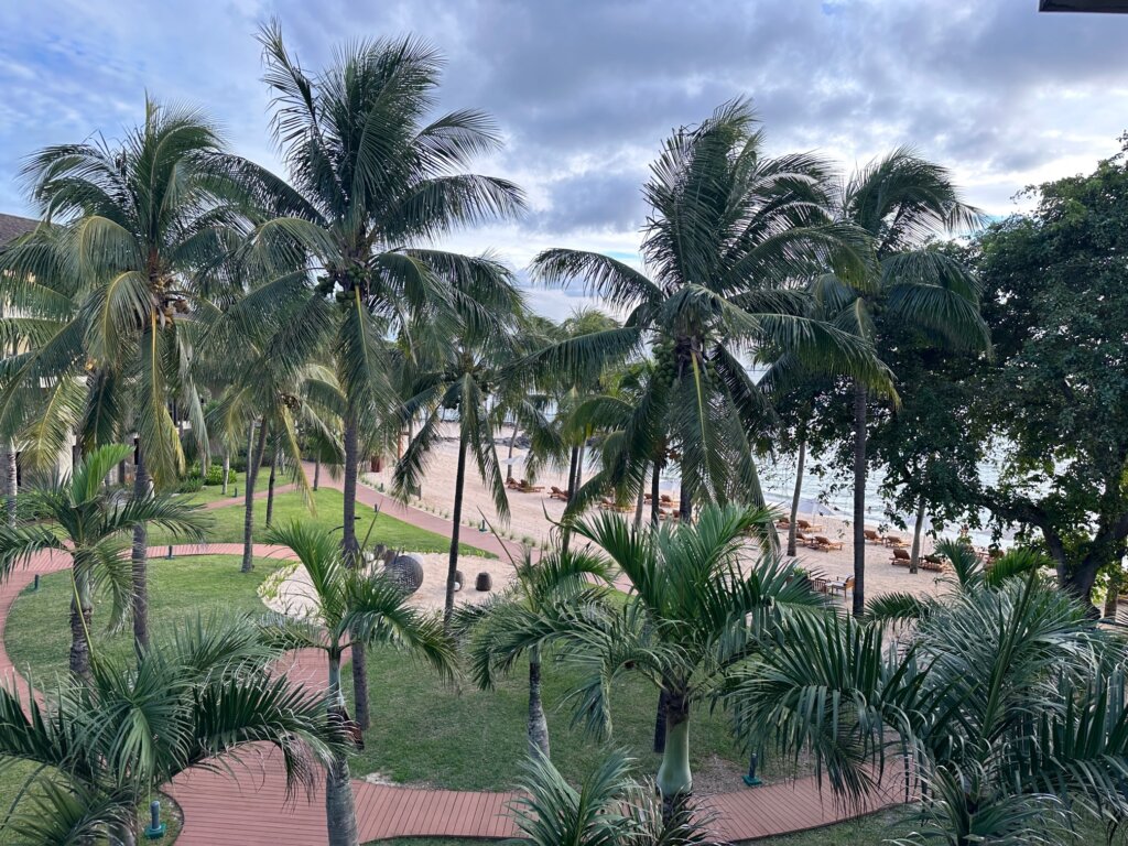 Palm trees and beach